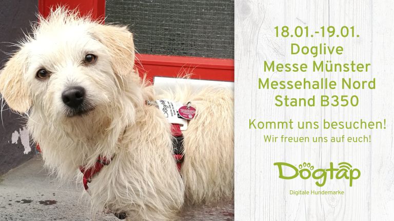 Besucht uns auf der Doglive in Münster!